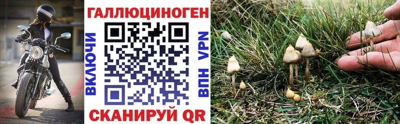 Галлюциногенные грибы MAGIC MUSHROOMS  купить наркотик  Боровичи 
